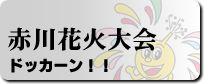 �Ԑ�ԉΑ��